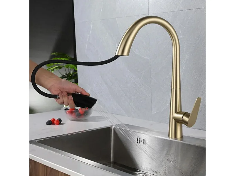 Robinet De Cuisine Rea Js-K087Bg Ross Brush Gold