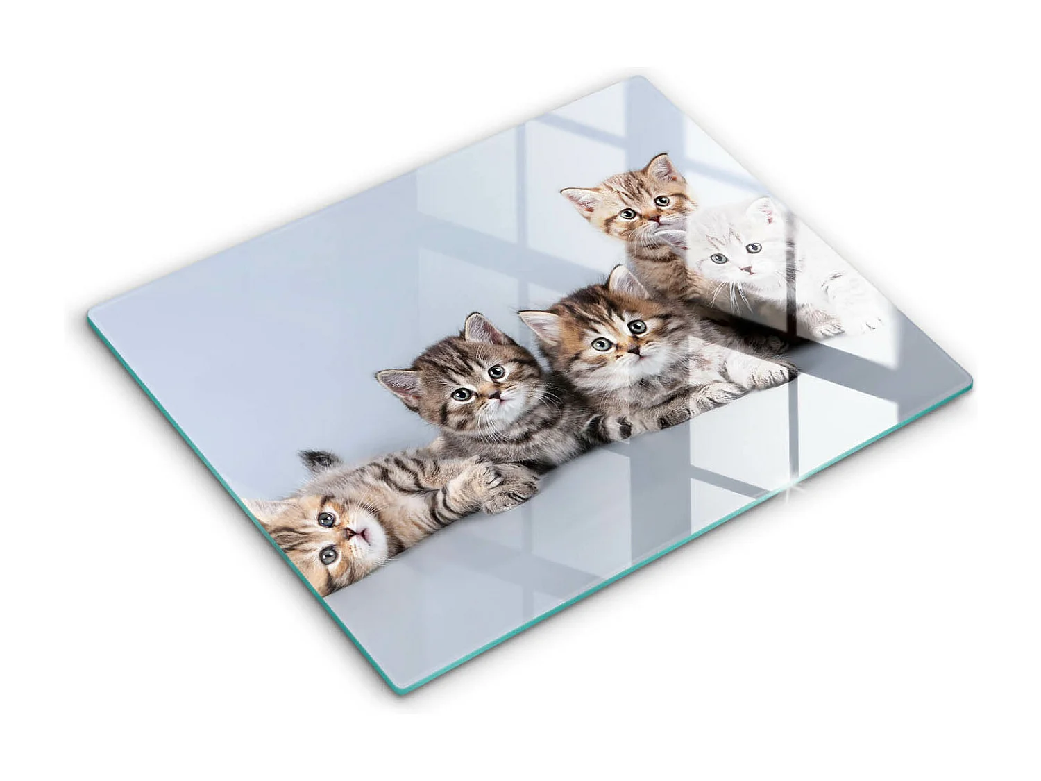Planche de cuisine rectangulaire en verre, 52x40 cm Doux petits chatons