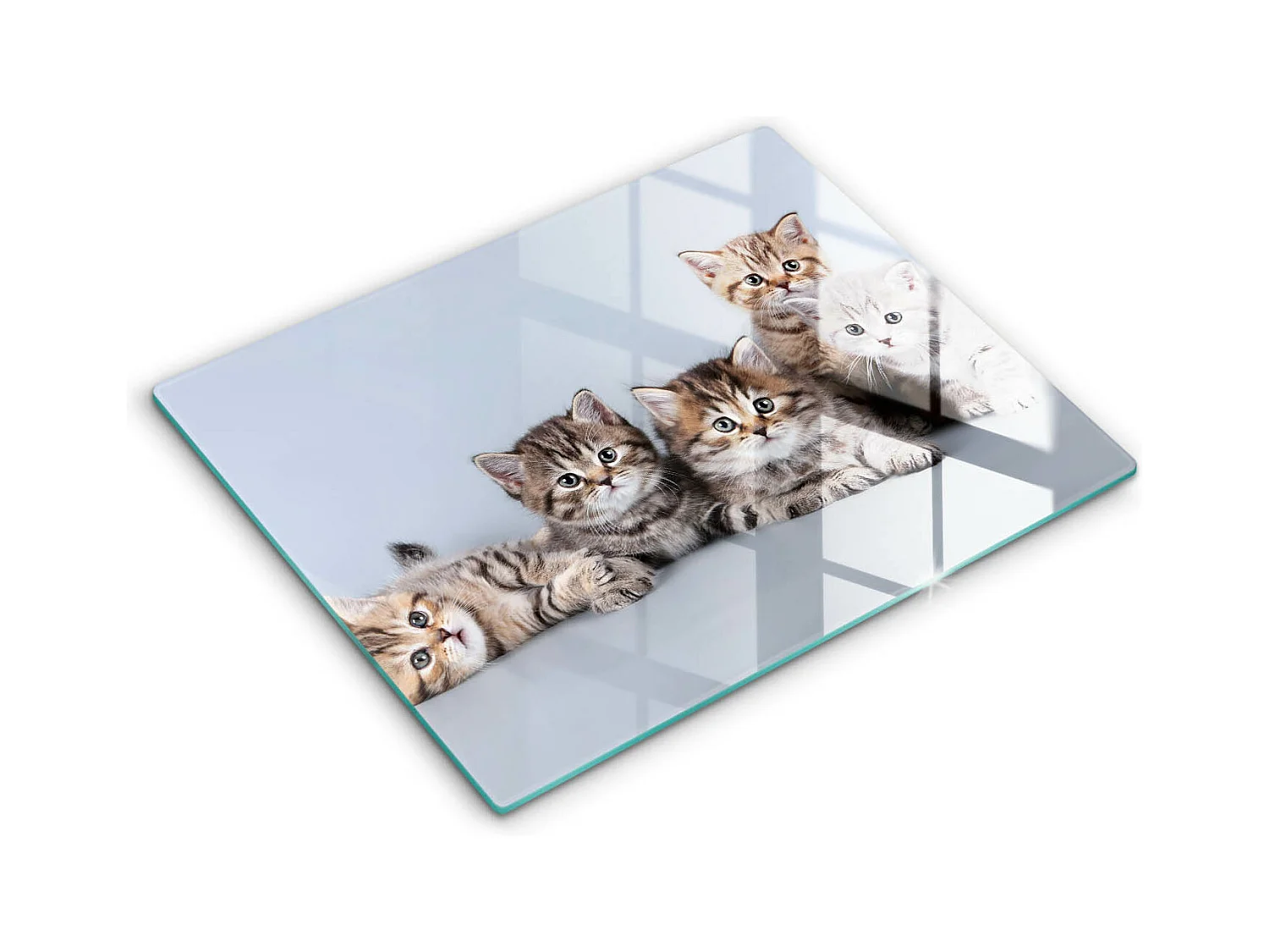 Planche de cuisine rectangulaire en verre, 52x40 cm Doux petits chatons