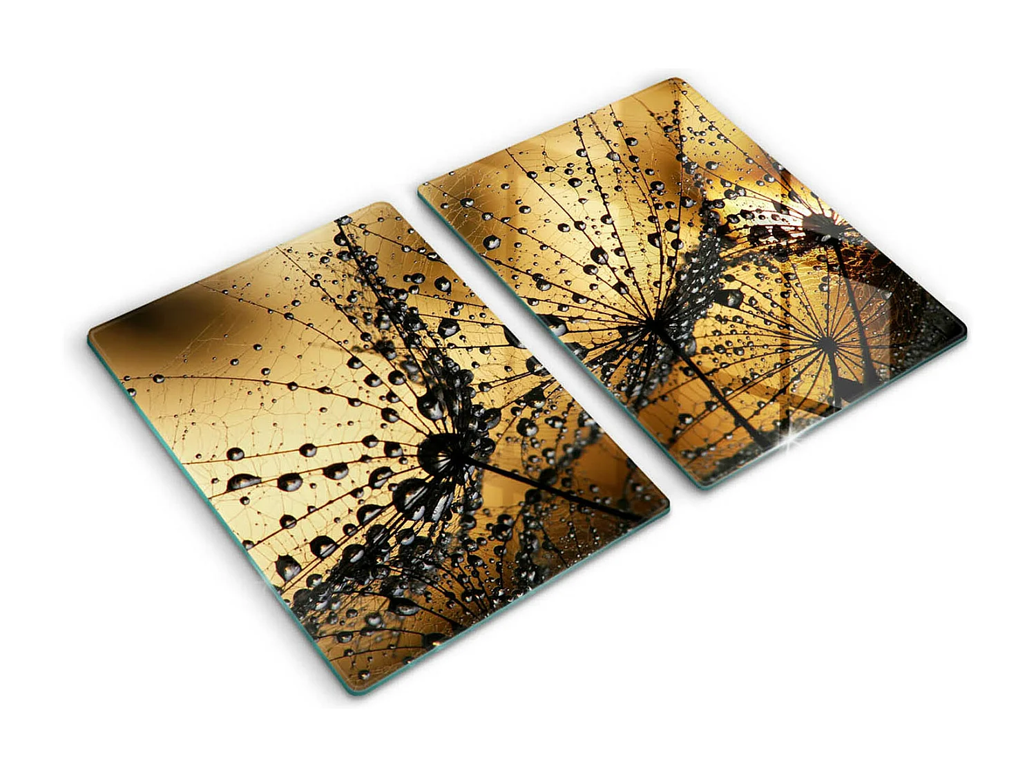 Planche de cuisine rectangulaire en verre, 2 pièces 40x52 cm Rosa et pissenlits