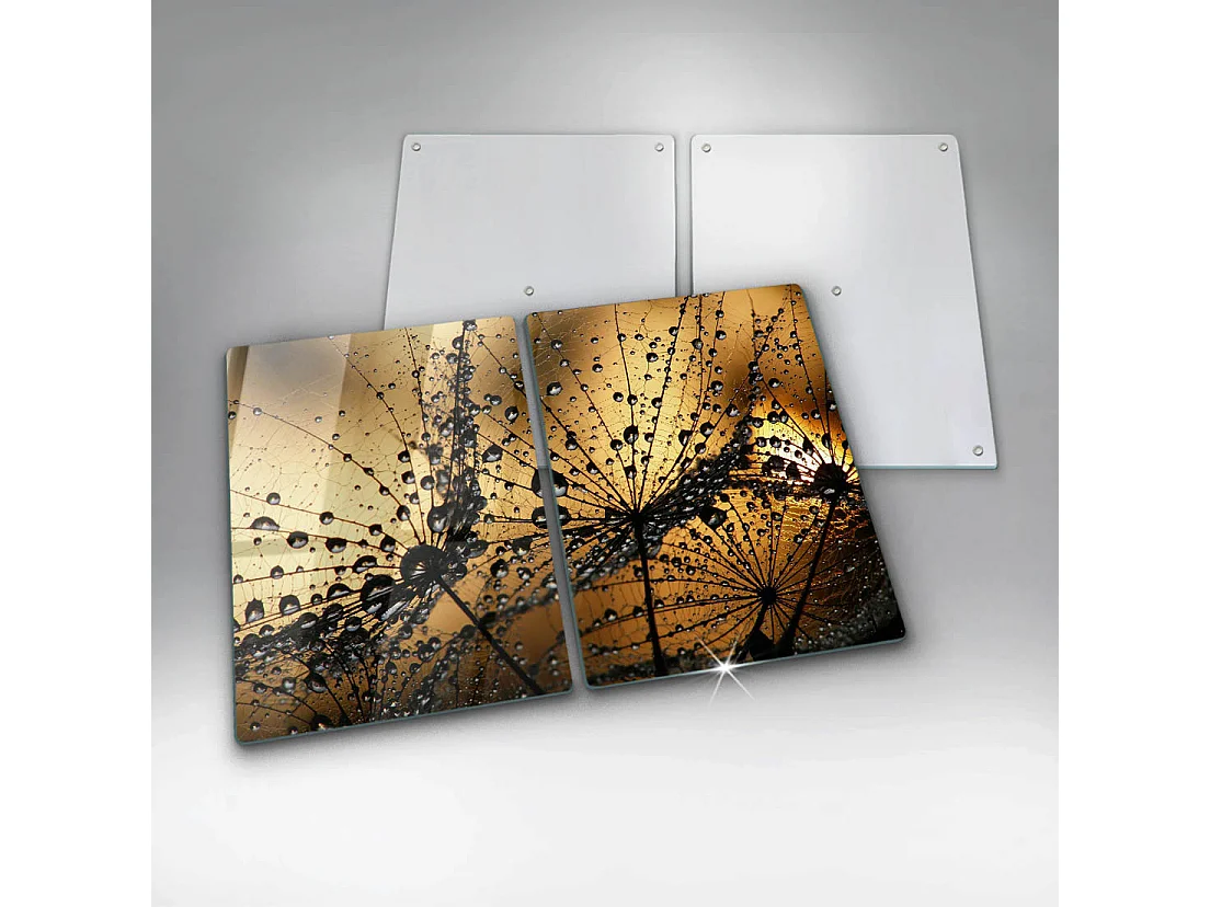 Planche de cuisine rectangulaire en verre, 2 pièces 40x52 cm Rosa et pissenlits