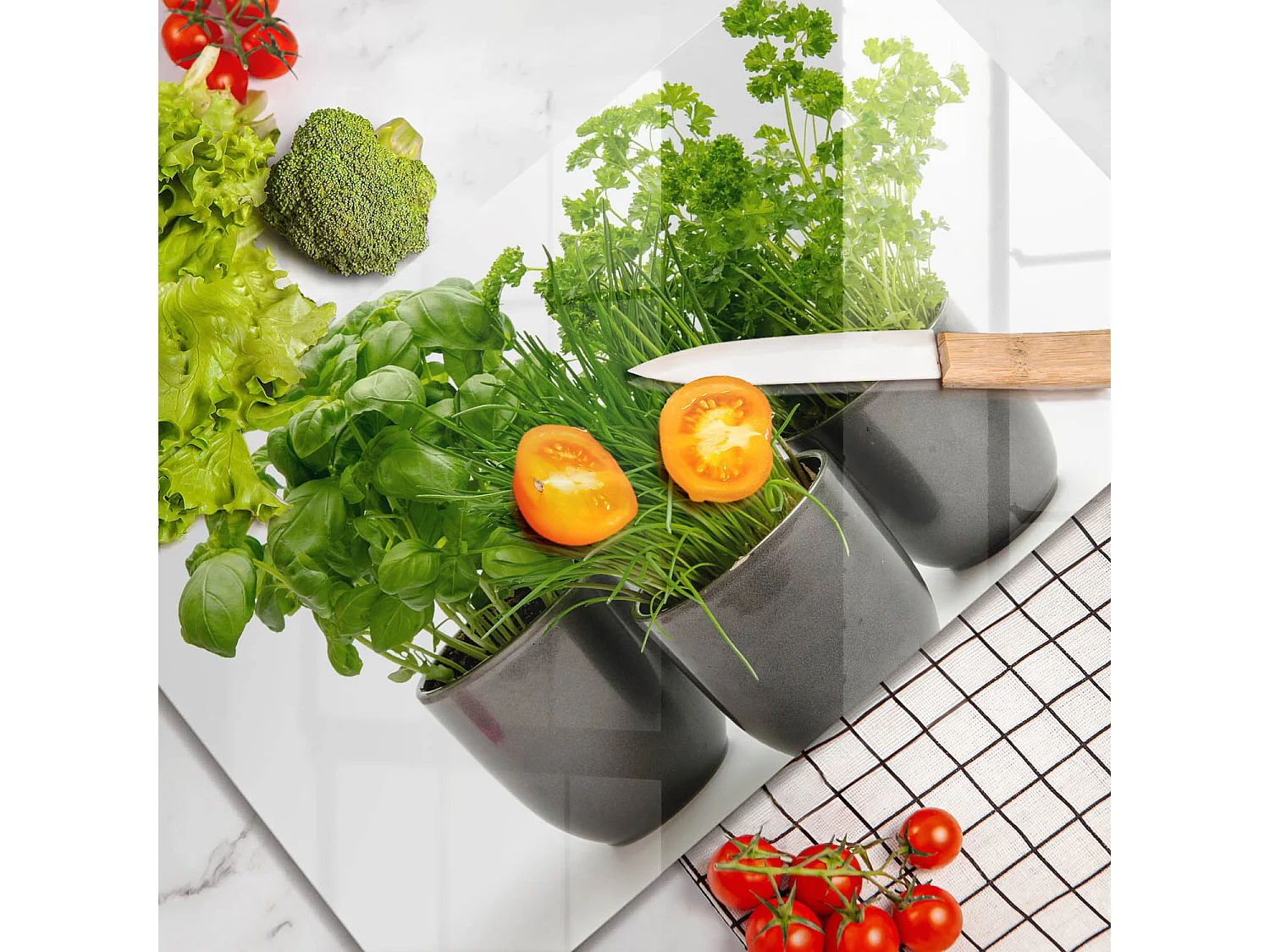 Planche de cuisine rectangulaire en verre, 52x30 cm Pots aux herbes