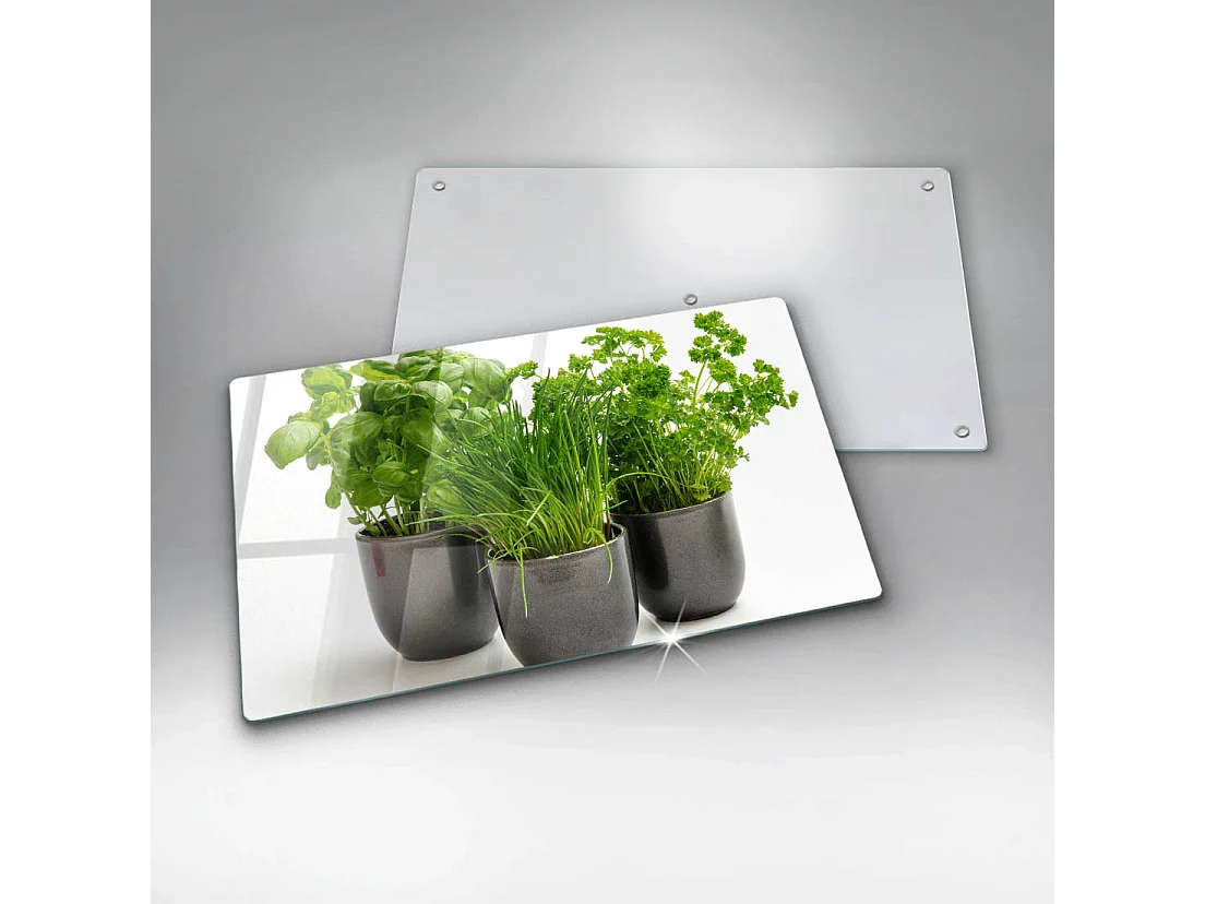 Planche de cuisine rectangulaire en verre, 52x30 cm Pots aux herbes