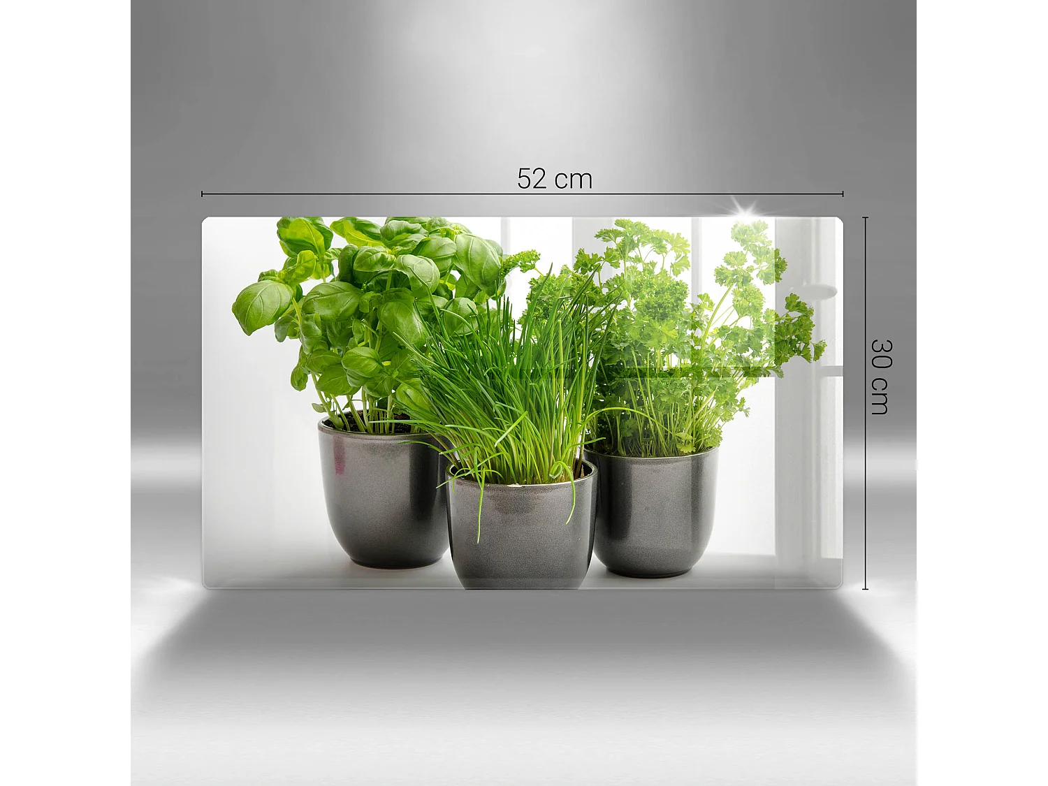 Planche de cuisine rectangulaire en verre, 52x30 cm Pots aux herbes
