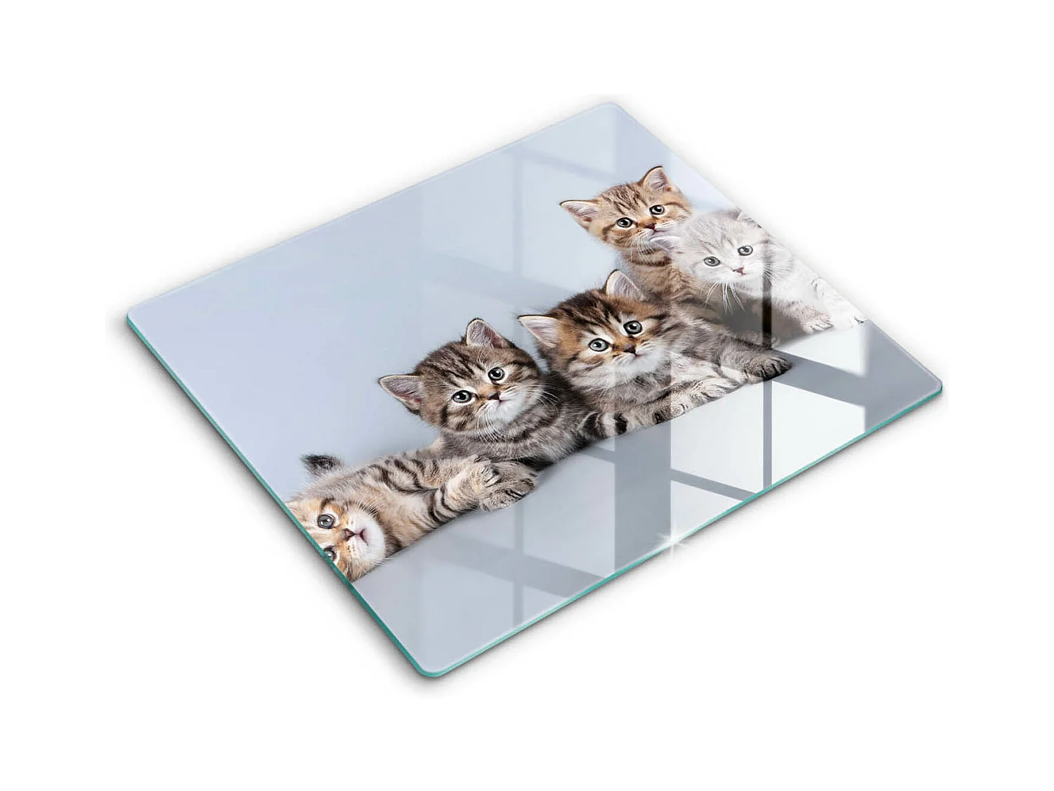 Planche de cuisine rectangulaire en verre, 60x52 cm Doux petits chatons