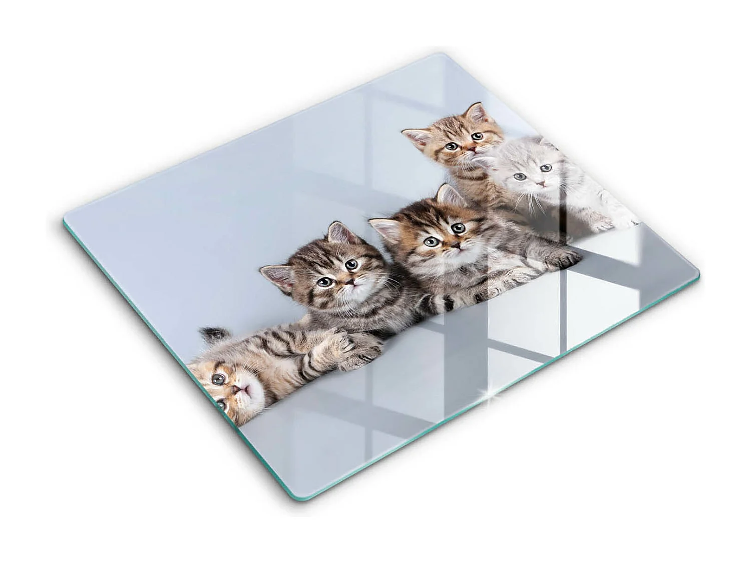 Planche de cuisine rectangulaire en verre, 60x52 cm Doux petits chatons