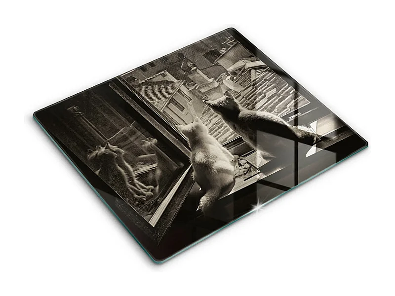 Planche de cuisine rectangulaire en verre, 60x52 cm Chats ville et fenêtre