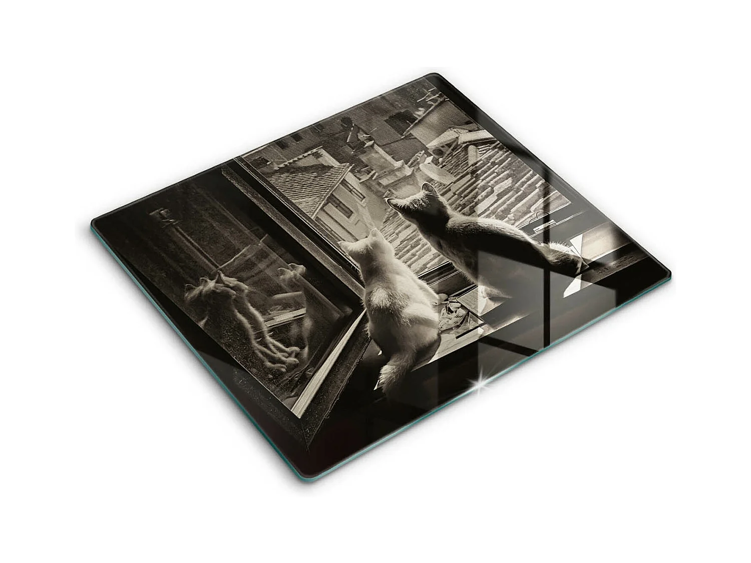 Planche de cuisine rectangulaire en verre, 60x52 cm Chats ville et fenêtre
