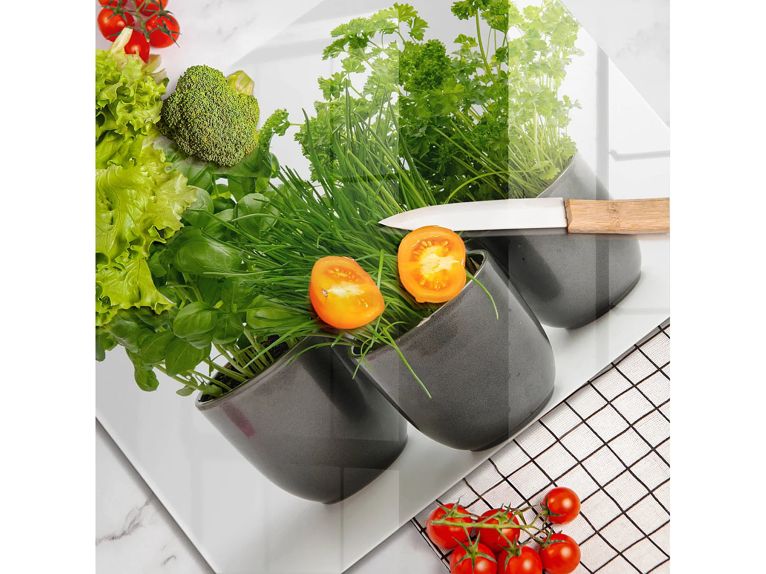 Planche de cuisine rectangulaire en verre, 52x40 cm Pots aux herbes