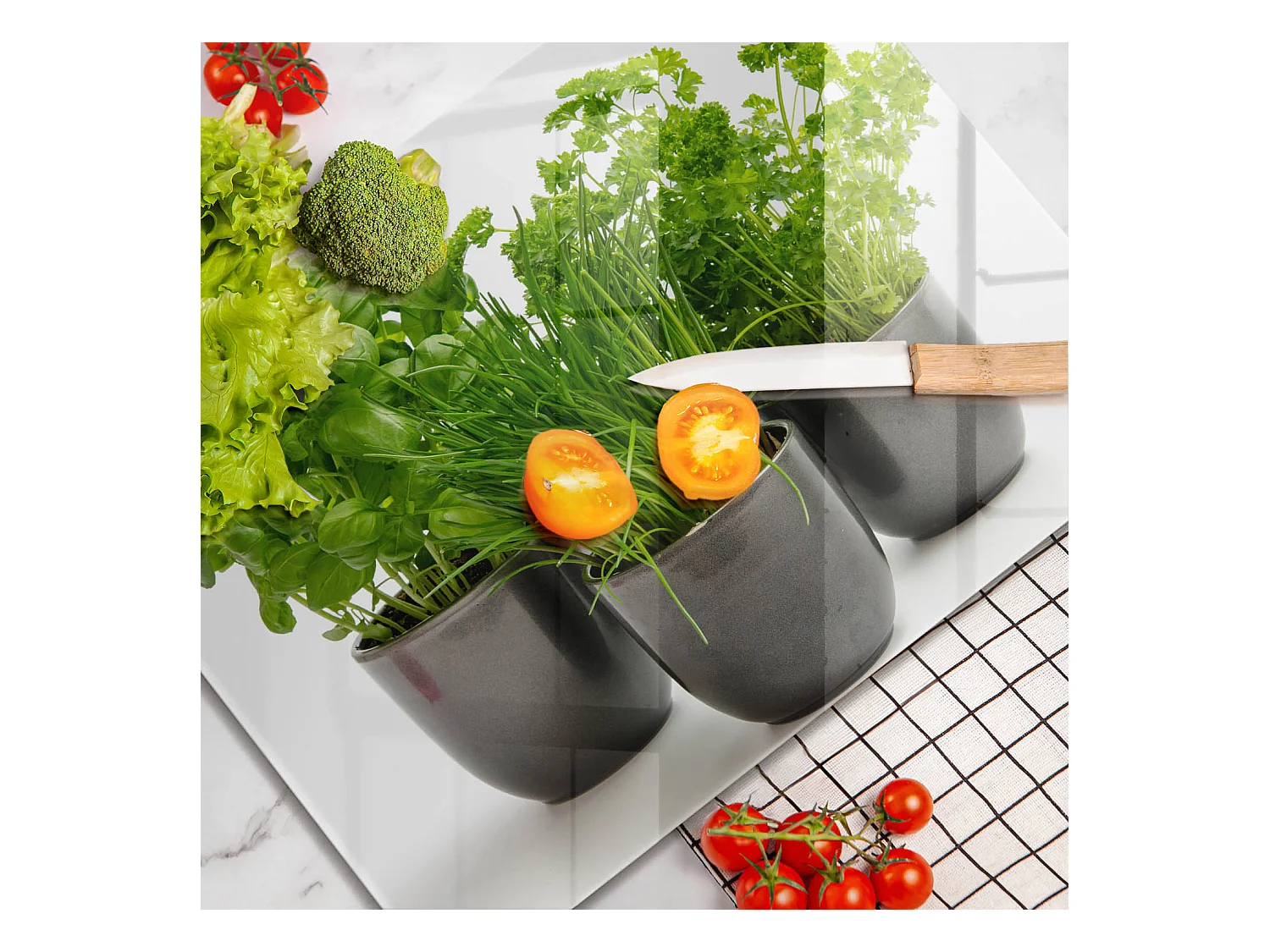 Planche de cuisine rectangulaire en verre, 52x40 cm Pots aux herbes
