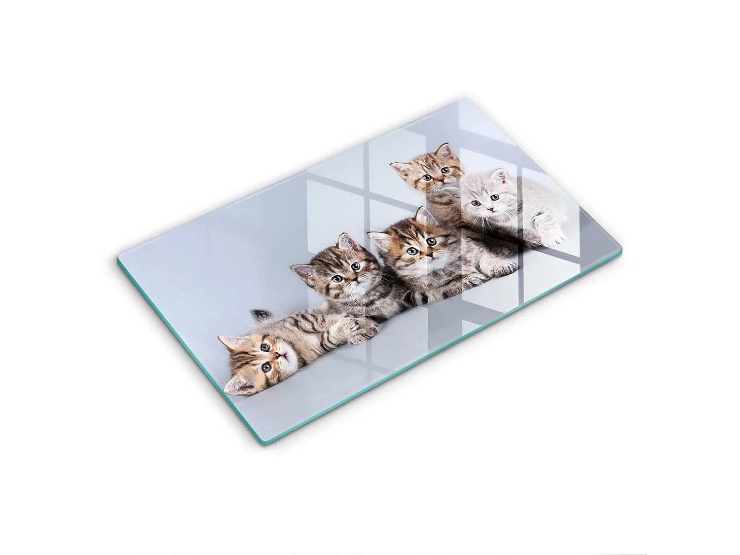 Planche de cuisine rectangulaire en verre, 52x30 cm Doux petits chatons