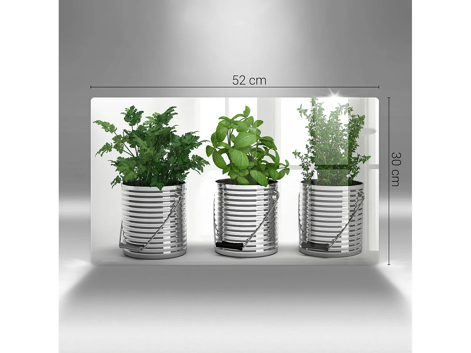 Planche de cuisine rectangulaire en verre, 52x30 cm Pots d'herbes et de plantes