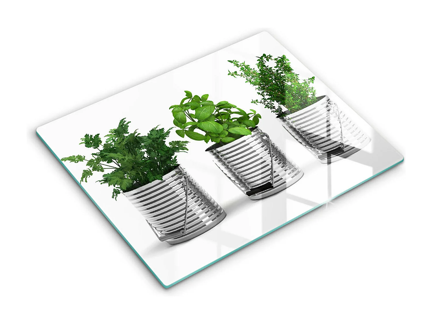 Planche de cuisine rectangulaire en verre, 52x40 cm Pots d'herbes et de plantes