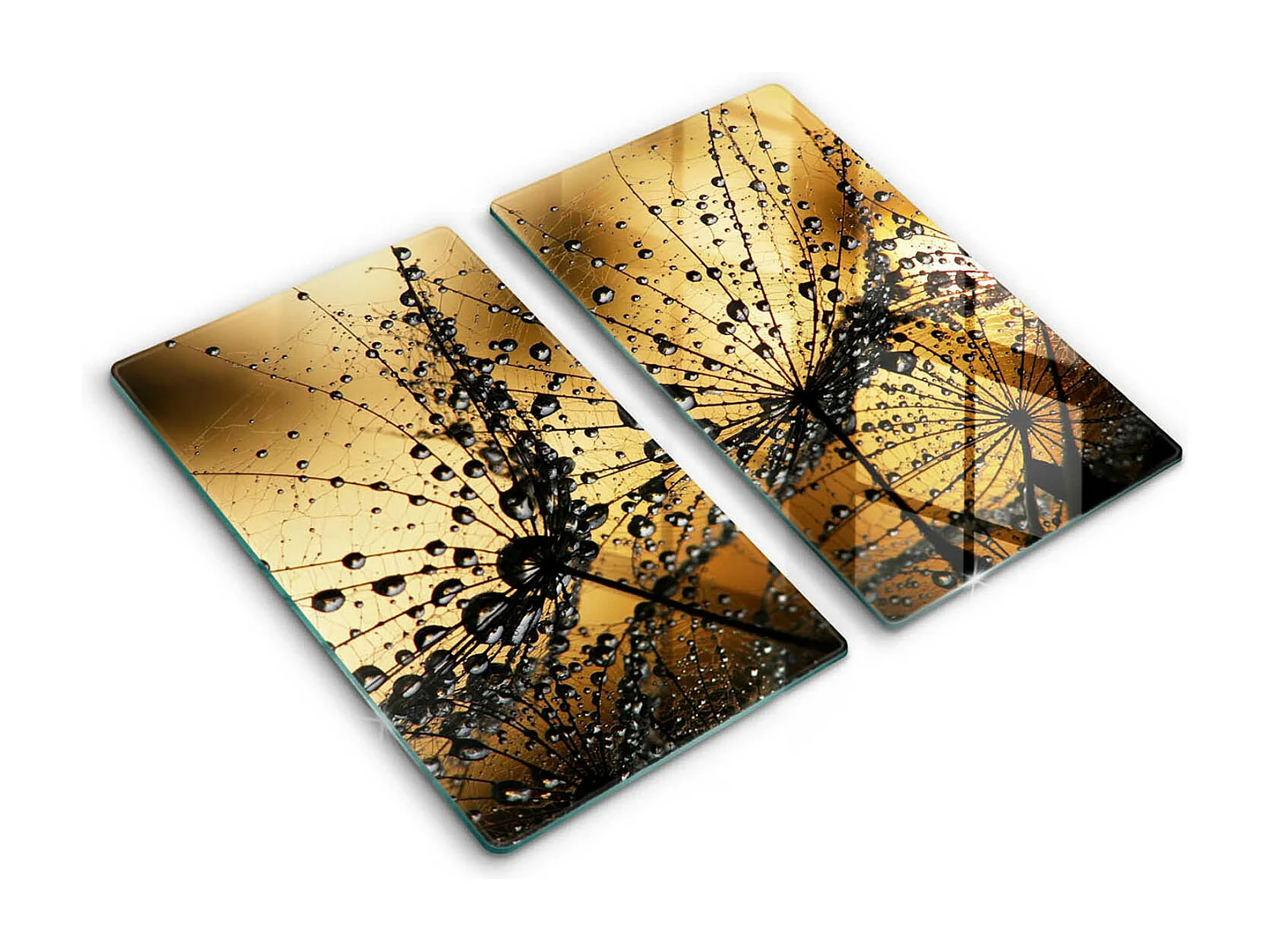 Planche de cuisine rectangulaire en verre, 2 pièces 30x52 cm Rosa et pissenlits