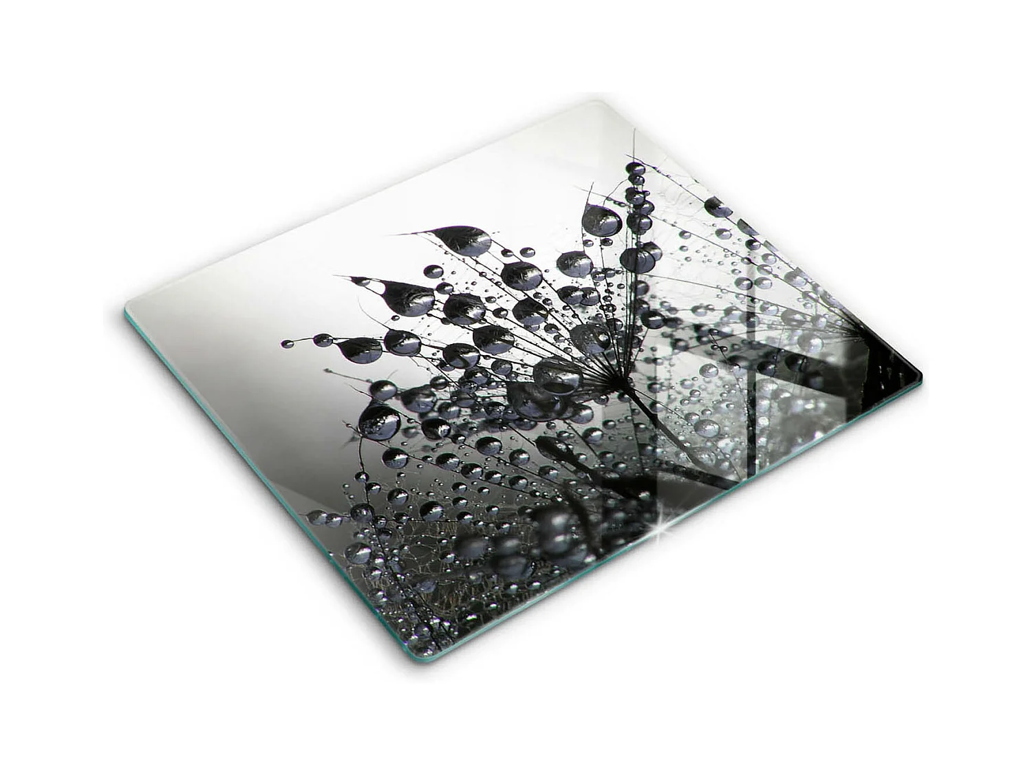 Planche de cuisine rectangulaire en verre, 60x52 cm Pissenlits et rosée