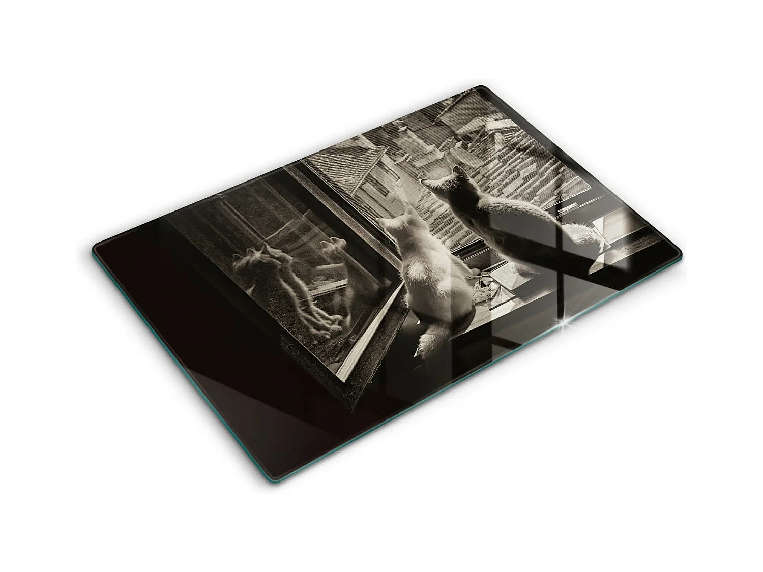 Planche de cuisine rectangulaire en verre, 80x52 cm Chats ville et fenêtre