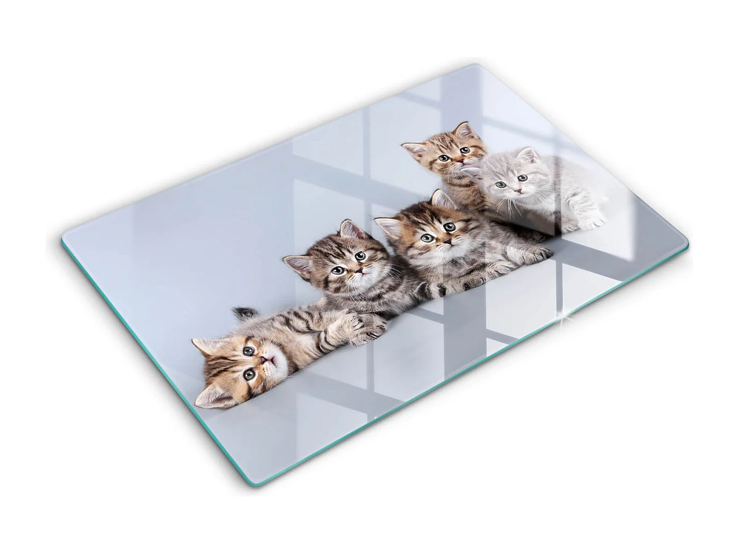 Planche de cuisine rectangulaire en verre, 80x52 cm Doux petits chatons