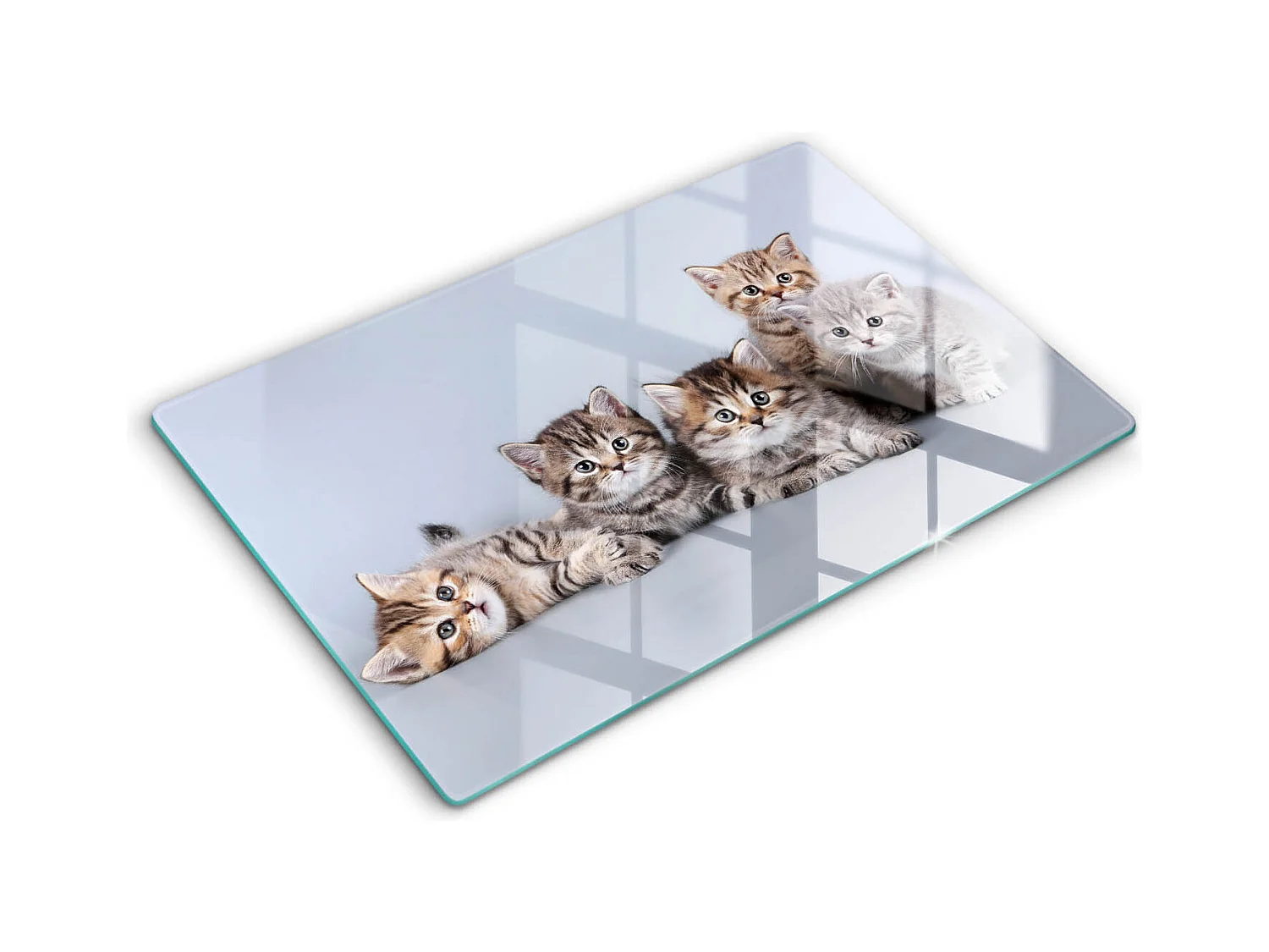 Planche de cuisine rectangulaire en verre, 80x52 cm Doux petits chatons