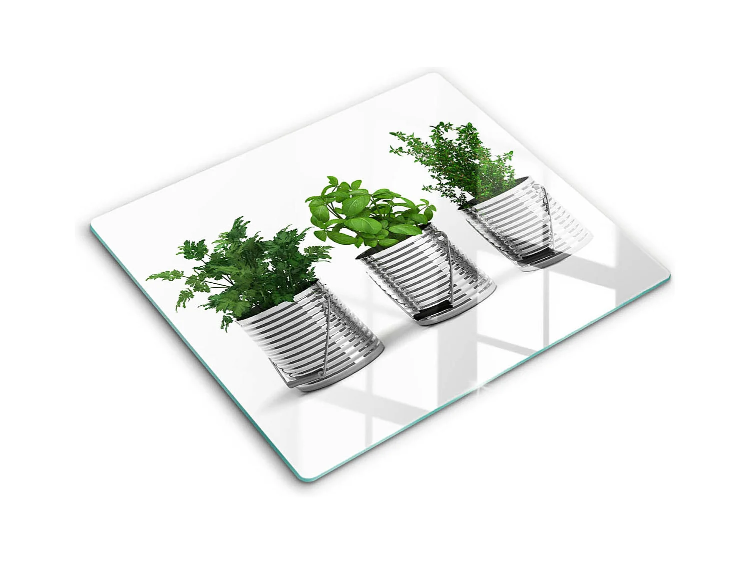 Planche de cuisine rectangulaire en verre, 60x52 cm Pots d'herbes et de plantes