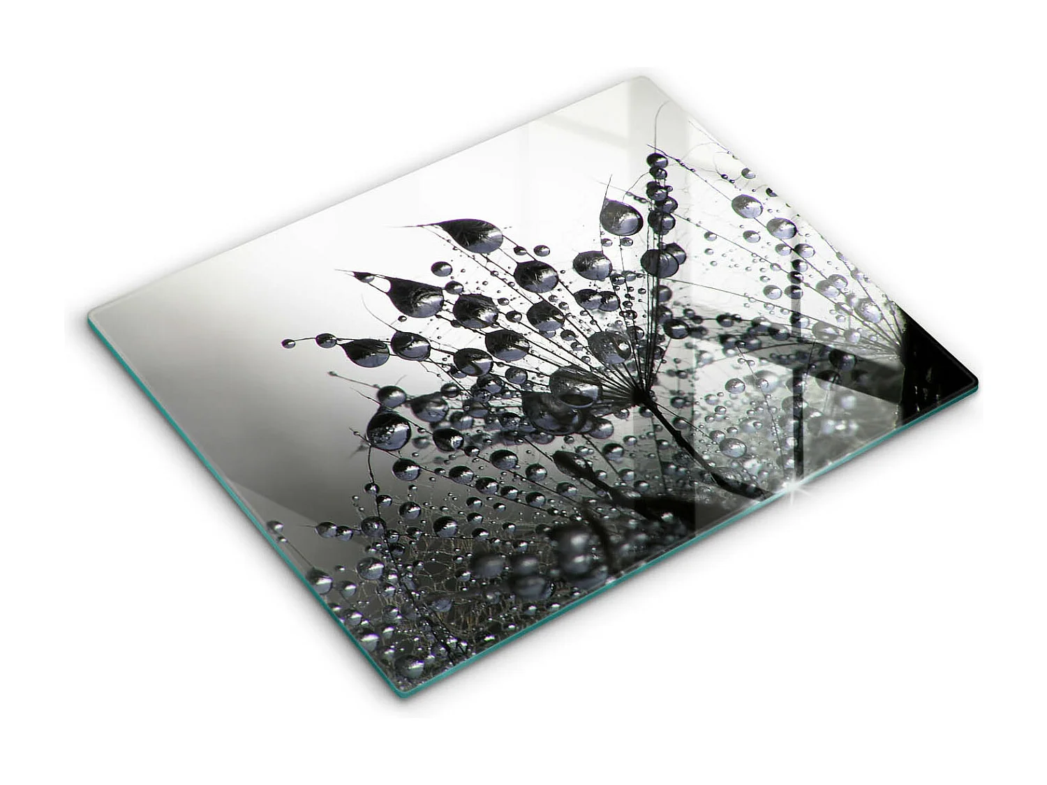 Planche de cuisine rectangulaire en verre, 52x40 cm Pissenlits et rosée