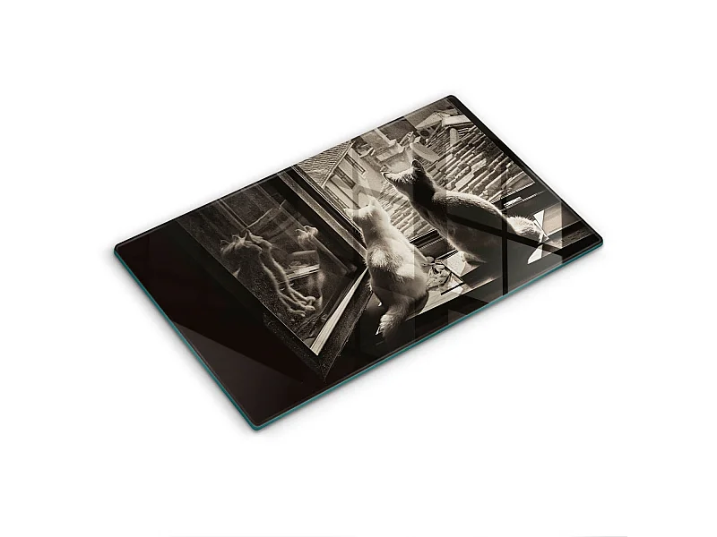 Planche de cuisine rectangulaire en verre, 52x30 cm Chats ville et fenêtre