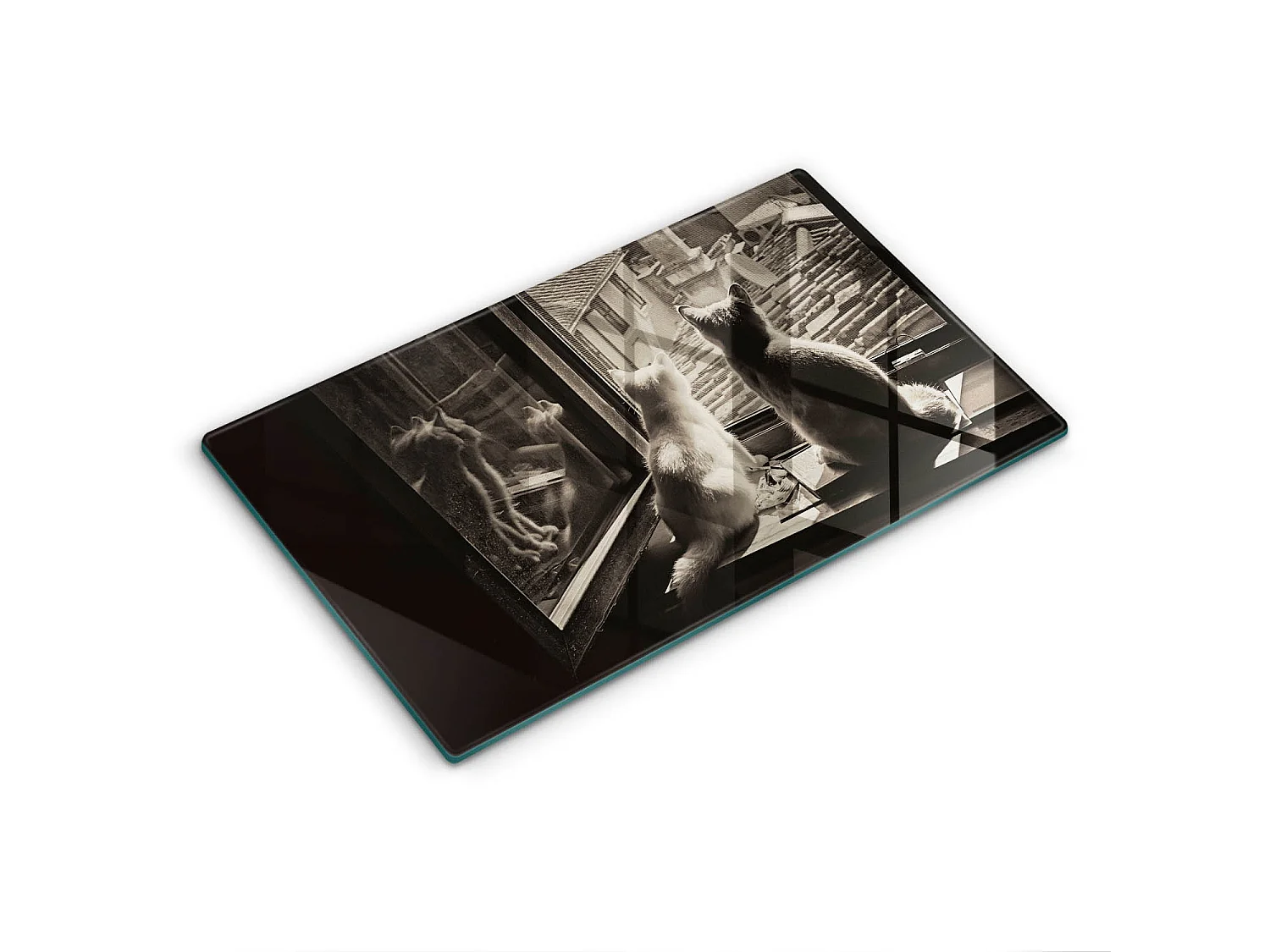 Planche de cuisine rectangulaire en verre, 52x30 cm Chats ville et fenêtre
