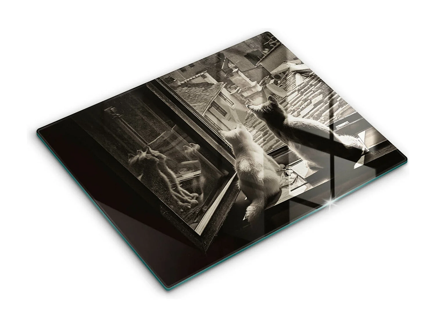 Planche de cuisine rectangulaire en verre, 52x40 cm Chats ville et fenêtre