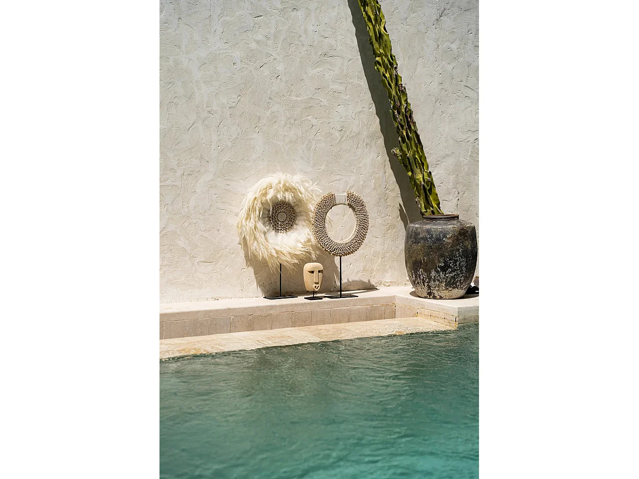 Papua Shell Disc Sur Pied - Blanc - M