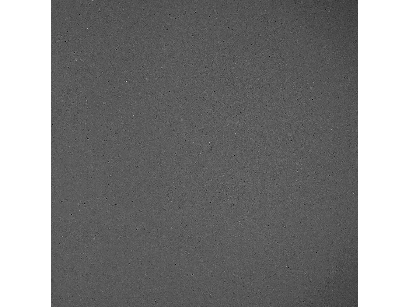 Support de pots FRAGARIA Métal 42 cm Noir