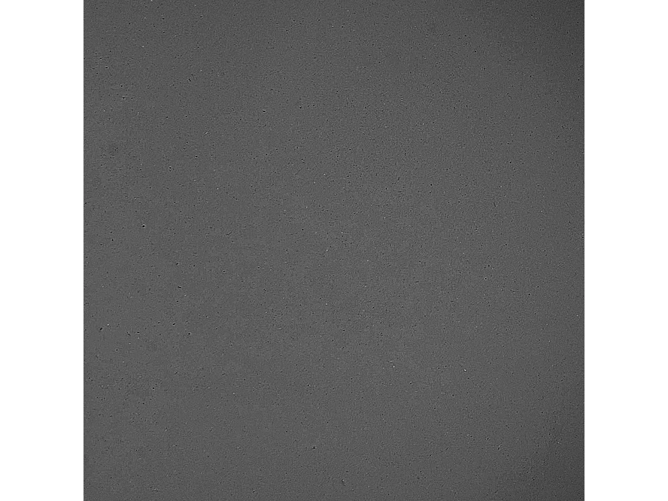 Pflanzenständer FRAGARIA Metall 42 cm Schwarz