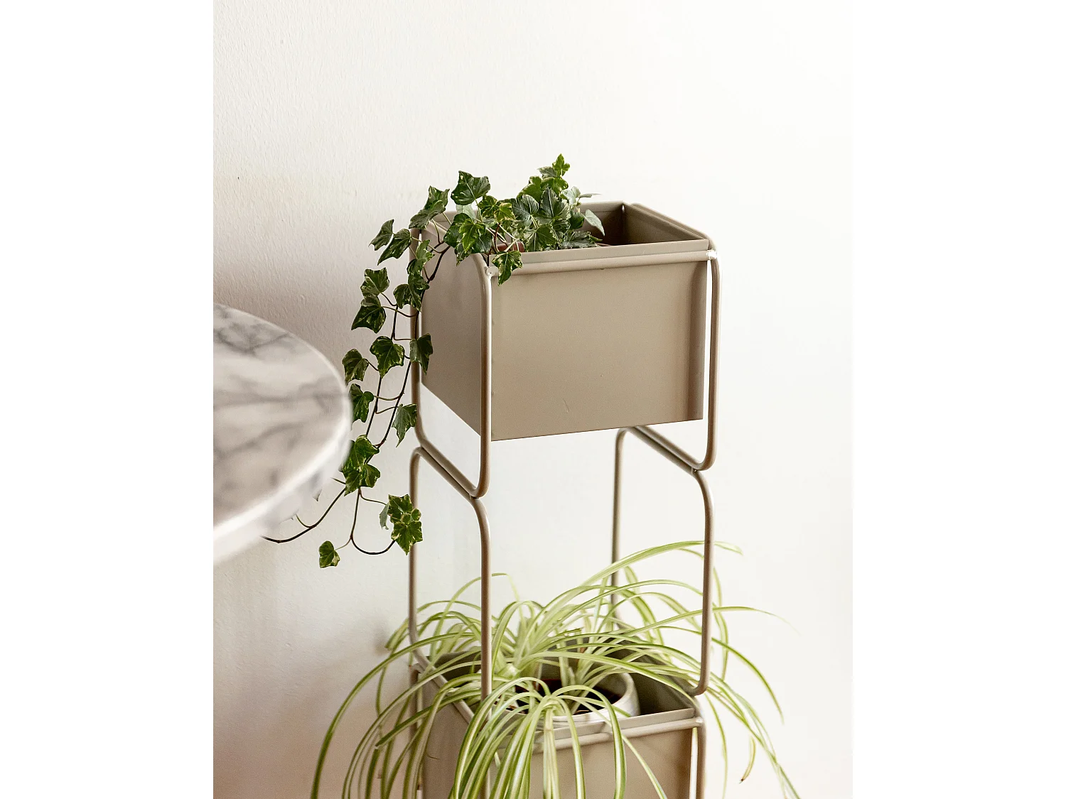 Pflanzenständer COTINUS Metall 20 cm Beige