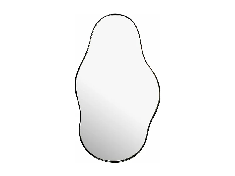 Miroir Murale Métal 40x80 cm Miroir Mur Couloir Grand Noir Asymétrique