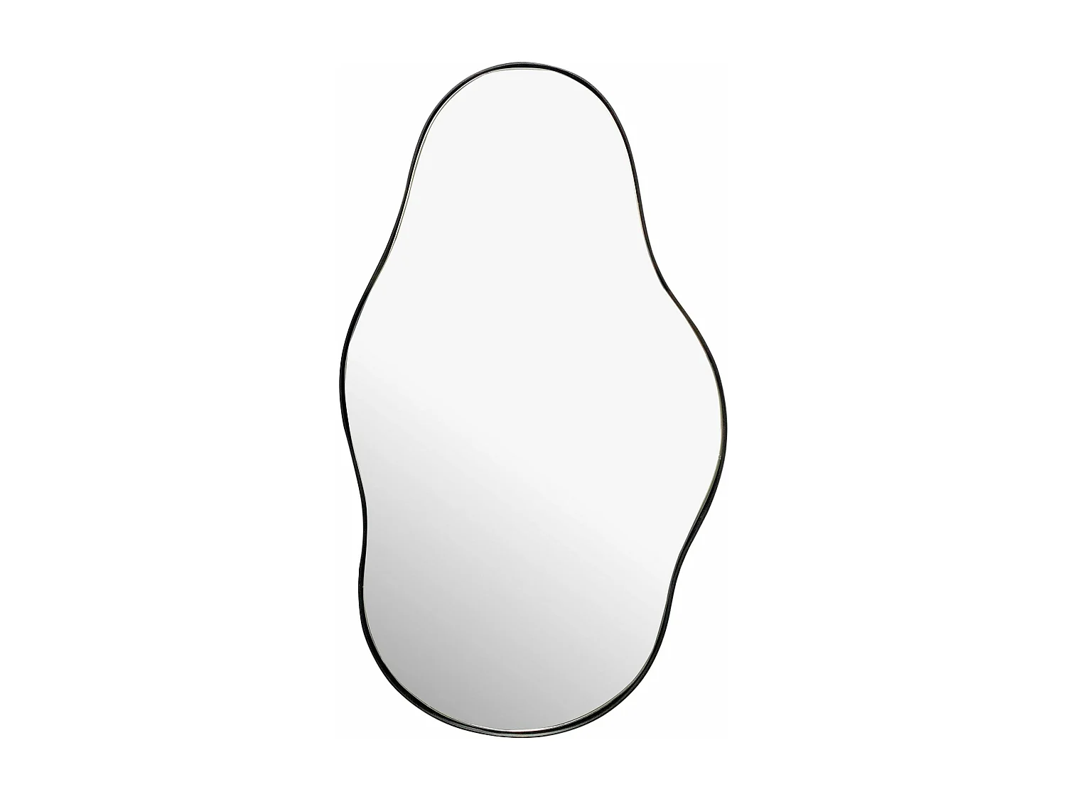 Miroir Murale Métal 40x80 cm Miroir Mur Couloir Grand Noir Asymétrique