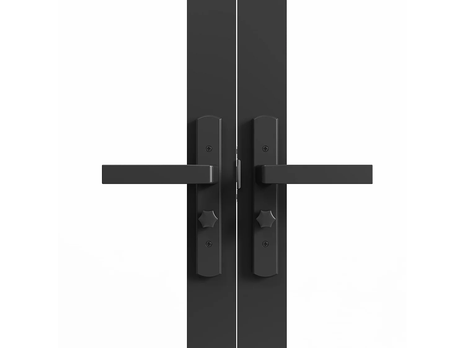 Tür-Set - zwei Flügel - Aluminium & Glas mattiert - 2 x 204 x 83 cm - Schwarz - SEROTO