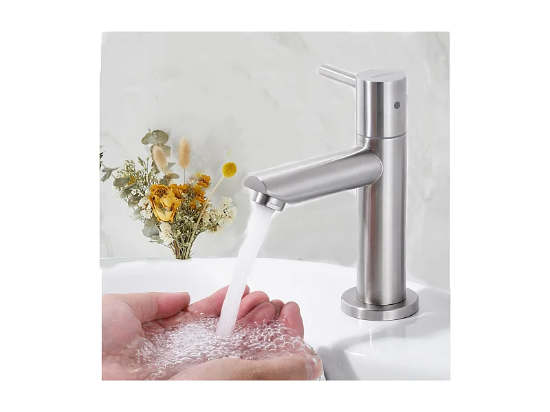 Cecipa max Robinet de Lavabo Robinet pour Salle de Bain Robinet de Lavabo avec Bec Robinet Seulemtent pour l'Eau Froide,EU Modèle