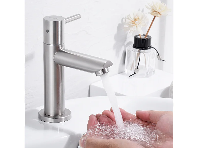 Cecipa max Robinet de lave-main Robinet de Froide Robinet de lavabo Brossé, Robinet de Lavabo d'eau Froide, Avec Aérateur Remplaçable,EU Modèle