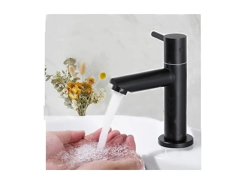 Cecipa max Robinet de Lavabo NOIR Robinet pour Salle de Bain Robinetterie de Lavabo avec Bec Robinet Seulemtent pour l'Eau Froide,EU Modèle