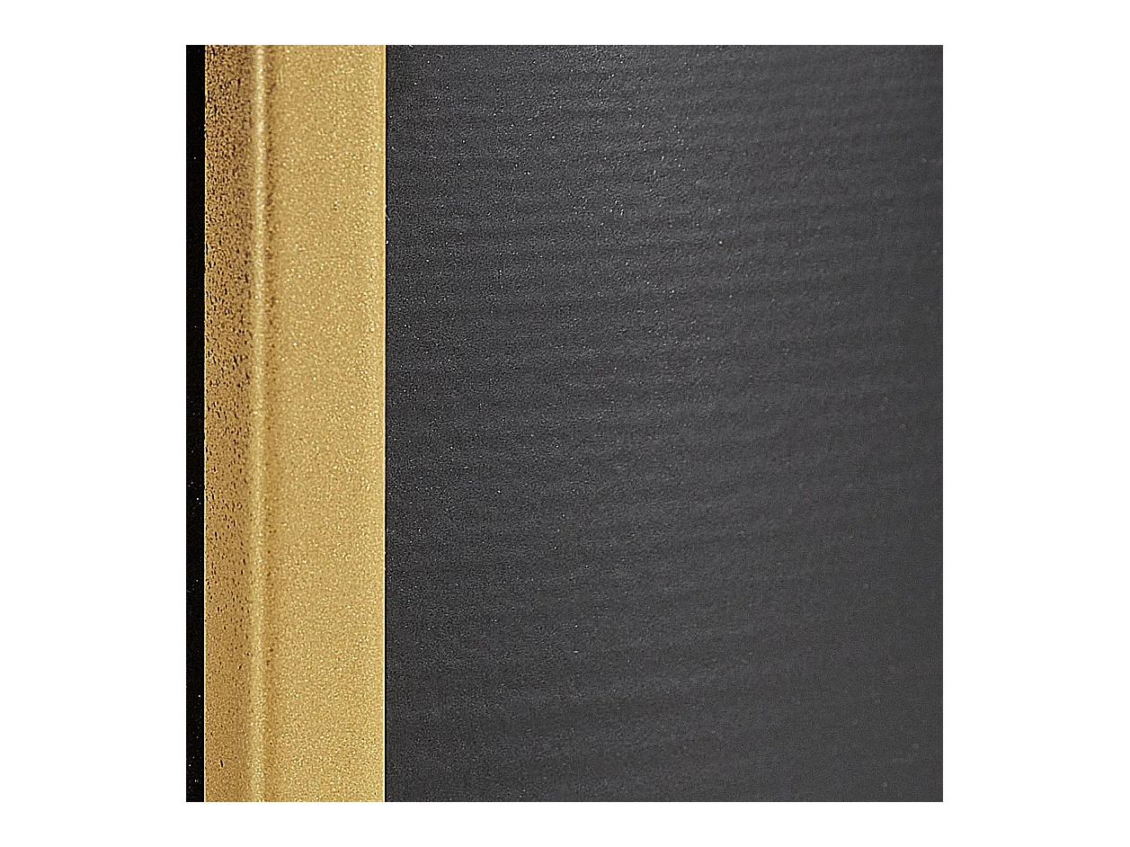 Blumentopf mit Beinen 2er Set THUJA Metall 21 cm Schwarz