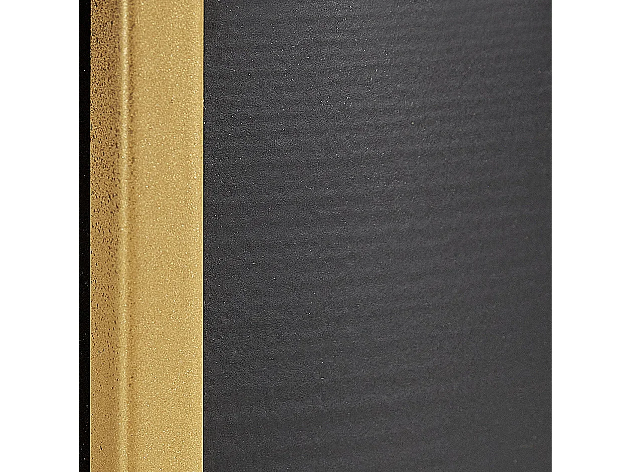 Lot de 2 pots à plantes surélevés THUJA Métal 21 cm Noir