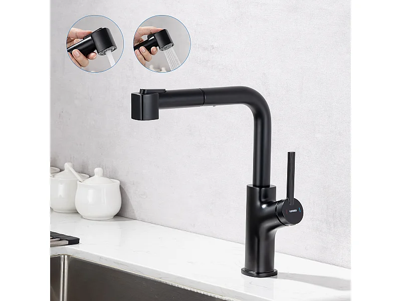 LonheoMax Schwarzer Küchenhahn mit ausziehbarer Brause, 360° drehbarer Küchenmischhahn, 2 Funktionen, Spültischarmatur mit abnehmbarem Sprudelwasserhahn, EU-Modell
