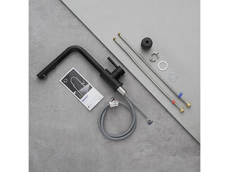 Cecipa max 2PCS Robinet de Cuisine Extractible avec Douchette Mitigeur Cuisine 2 Modes de pulvérisat Rotation à 360° Noir,EU Modèle