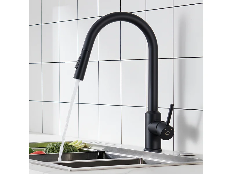 Cecipa max Mitigeur de Cuisine avec Douchette Extractible - Noir  -  en Acier Inoxydable Mitigeur Cuisine d'Évier - 2 Fonctions Mélangeur d,EU Modèle