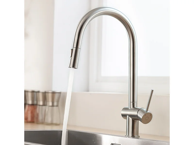 Cecipa max Keukenmengkraan met uittrekbare sproeier Keukenkraan met 2 waterstraalsoorten Geborsteld roestvrijstalen spoelbakkraan, EU-model