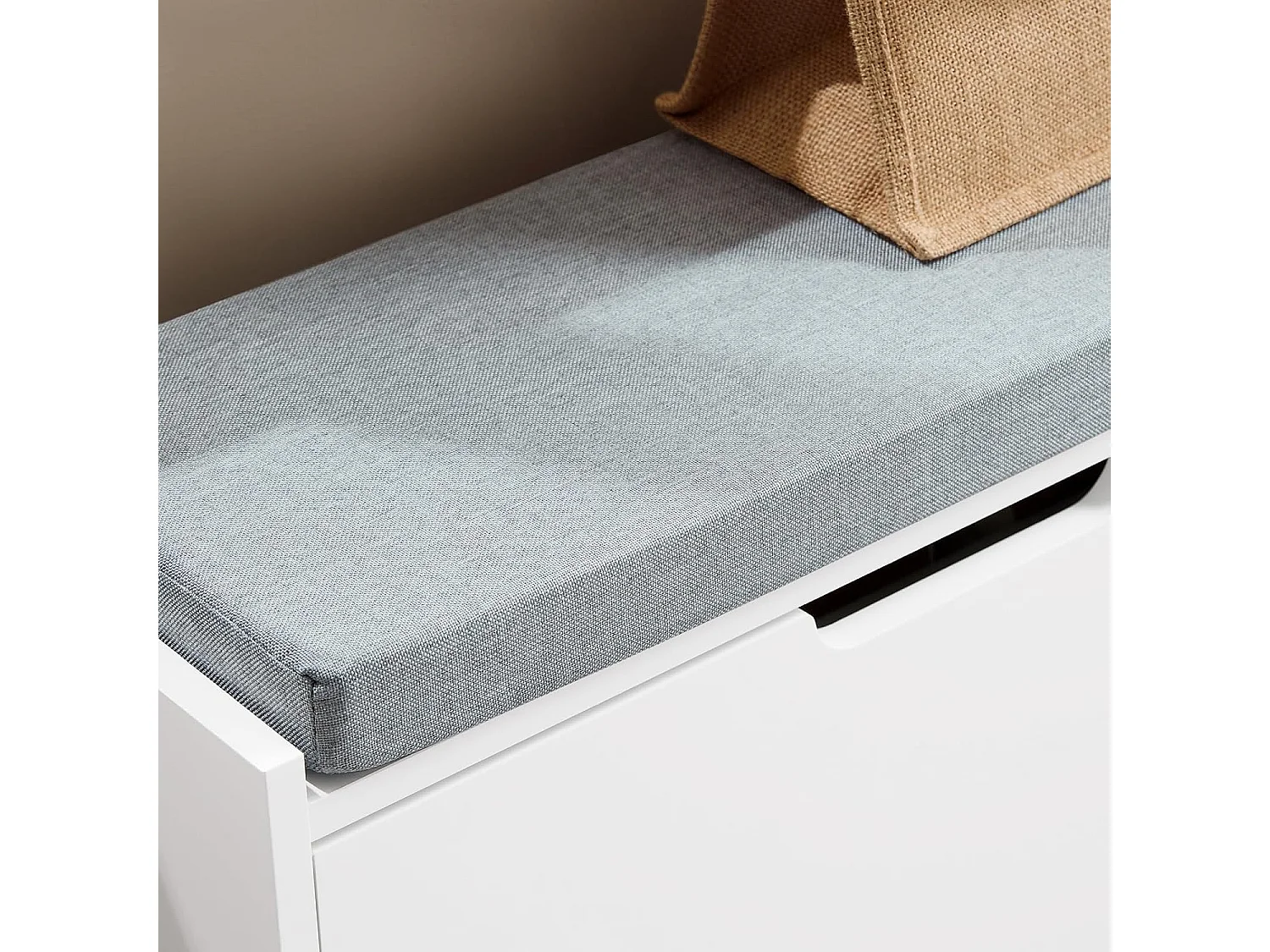 SoBuy Banc Chaussures, Rangement pour Chaussures, Armoire à Chaussures, Meuble d'entrée, Coffre avec 1 Abattants et 1 Coussin, Blanc, L60xP24xH52 cm, FSR151-K-W