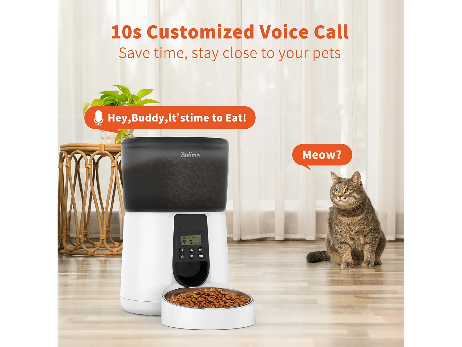 Balimo Paul 4L Automatique pour Chiens Et Chats Bol en Acier Inoxydable pour Animaux Domestiques Distributeur De Nourriture SèChe pour Chats