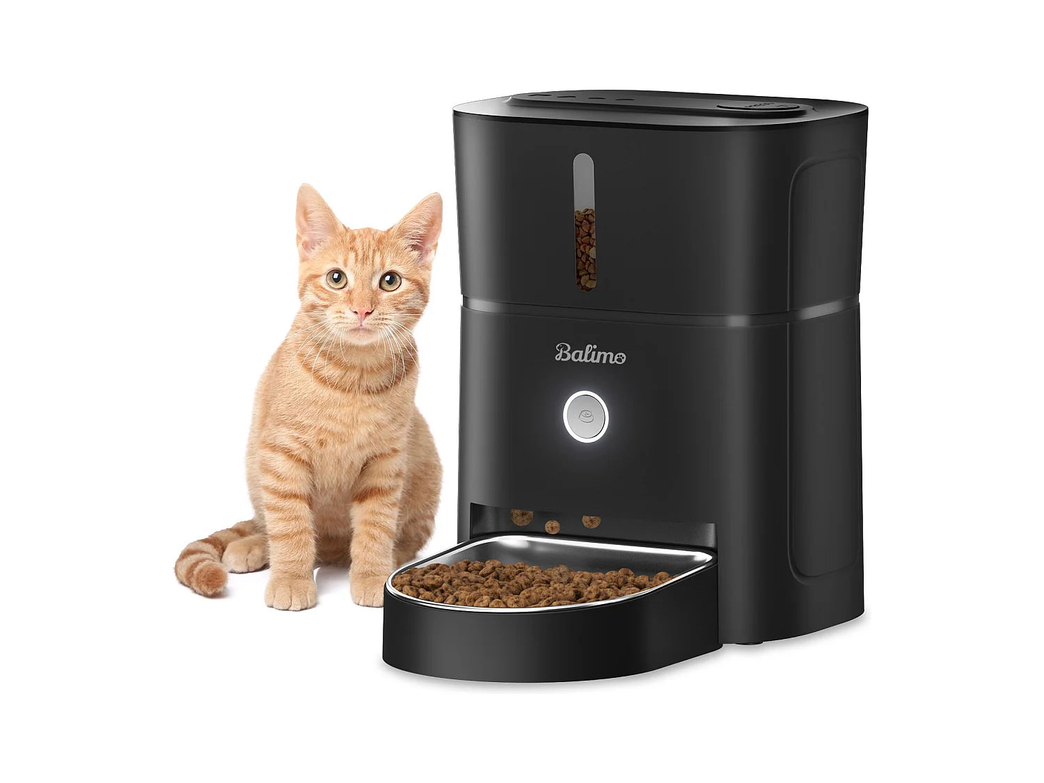 3-Liter-Futterspender für Katzen und Hunde, schwarz, automatischer Futterspender mit Edelstahlnapf, 6 Mahlzeiten pro Tag