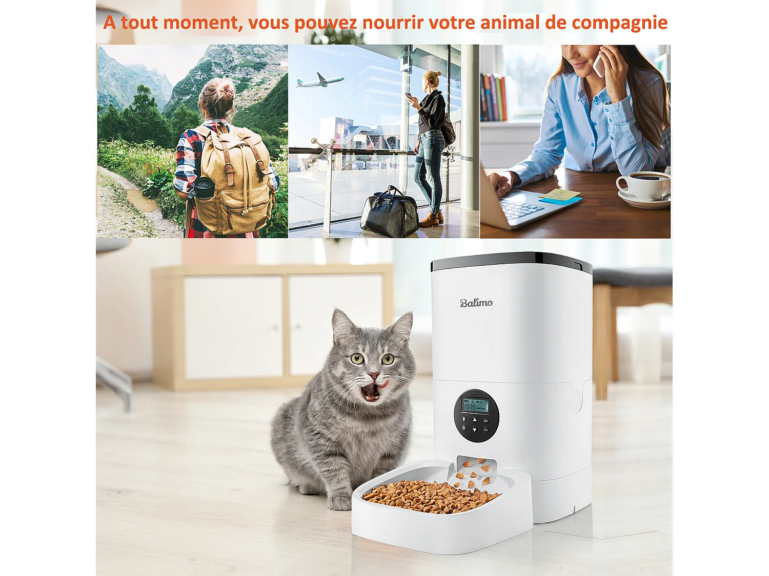 4L Balimo Distributeur Automatique de Nourriture pour Chat et Chien, Distributeur de Croquette Gamelle 4 Repas par Jour Avec LED écran