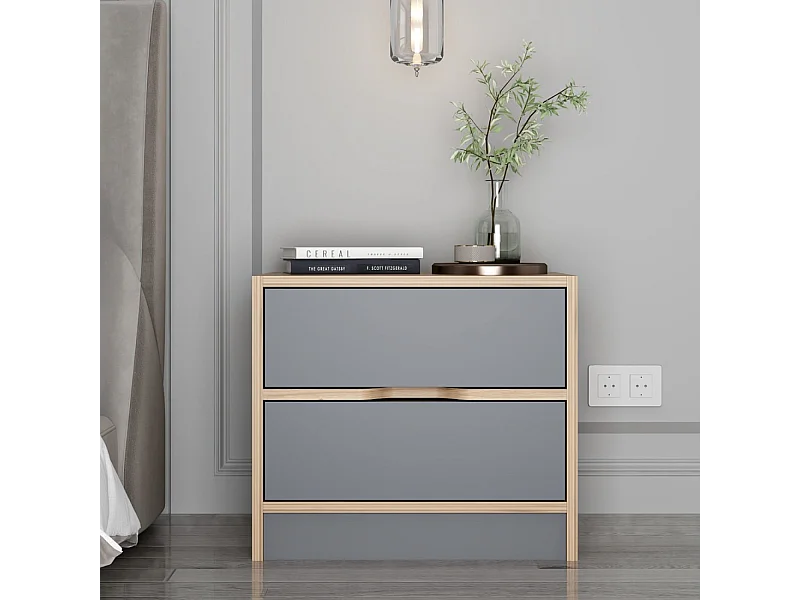 Nachttisch aus Holz und Grau mit 2 Schubladen MOLDE Modern und Praktisch