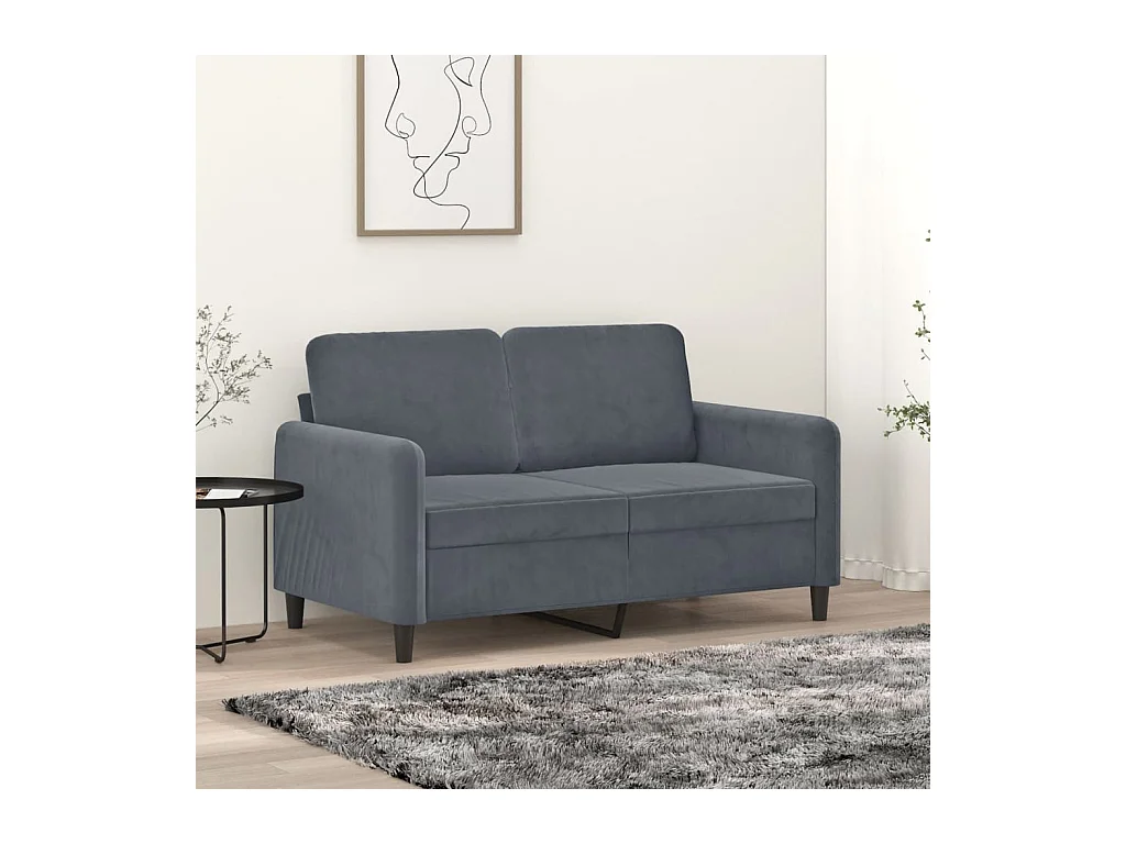 Canapé à 2 places Gris foncé 120 cm Velours