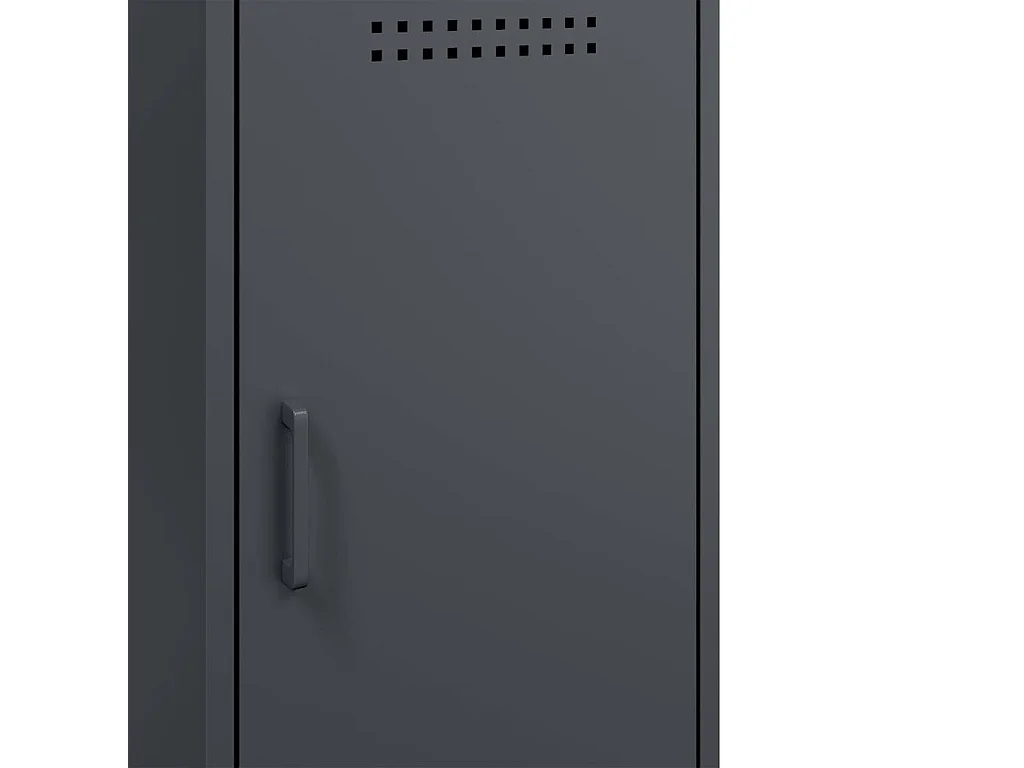 Sideboard Anthrazit 100,5x39x79 cm Stahl